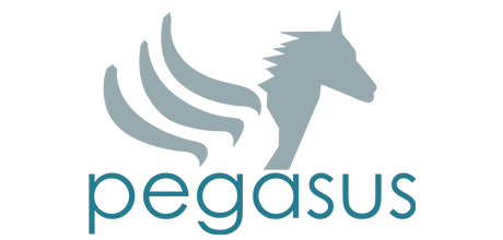 Pegasus